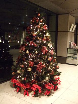 20091204-sapin01.JPG 20091204-sapin01.JPG